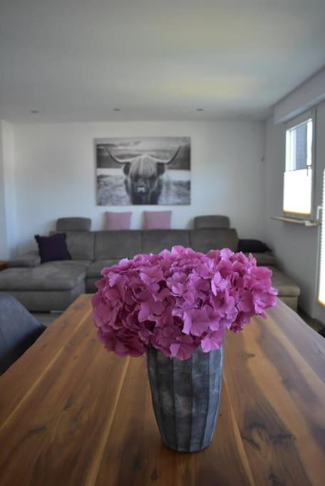 Schoene In Appartement Oberhausen (North Rhine-Westphalia)